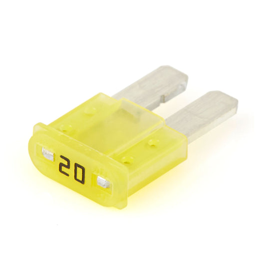 20 amp Fuse